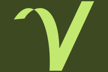 Verture Logo Verture Logo